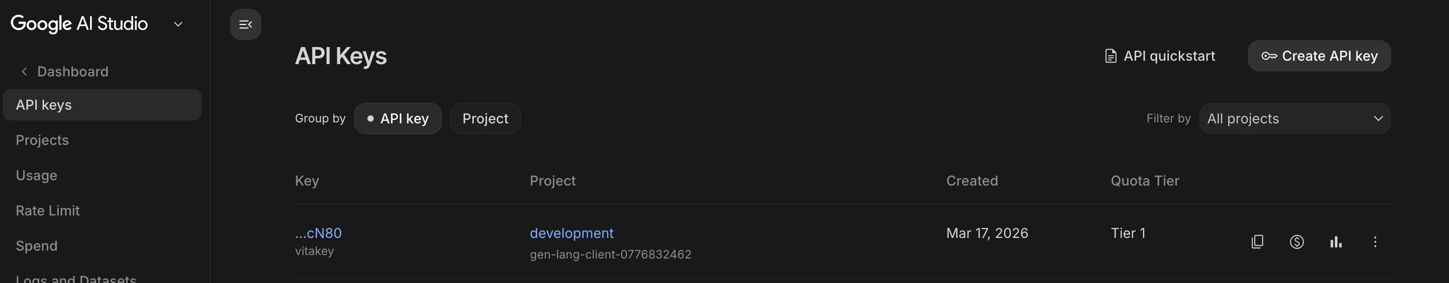 Google AI Studio — copy API key